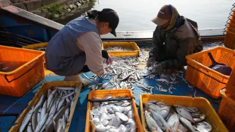BBC/Hosu Lee Two workers kneel on the deck of a boat, sorting fish into yellow crates.